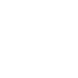 Implant dentaire