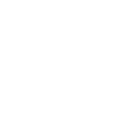 Rhinoplastie